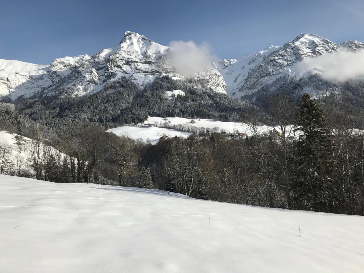 Magnifique T3 entre lac et montagne Montmin Extérieur photo